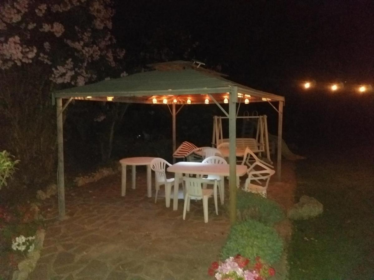 Garden Basement - Seminterrato Max 4 Ospiti - Fiumicino Vicino Aeroporto E Fiera Apartment Екстериор снимка