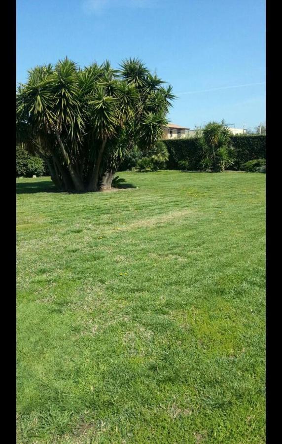 Garden Basement - Seminterrato Max 4 Ospiti - Fiumicino Vicino Aeroporto E Fiera Apartment Екстериор снимка